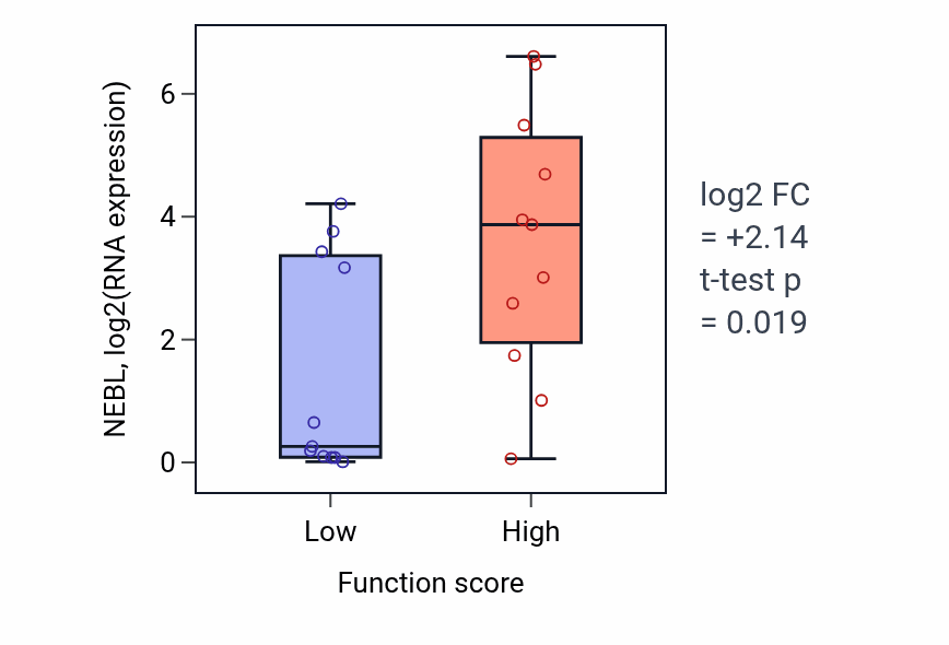 Box plot of NEBL in Membrane hyperpolarization-low vs -high samples in SOFT_TISSUE.