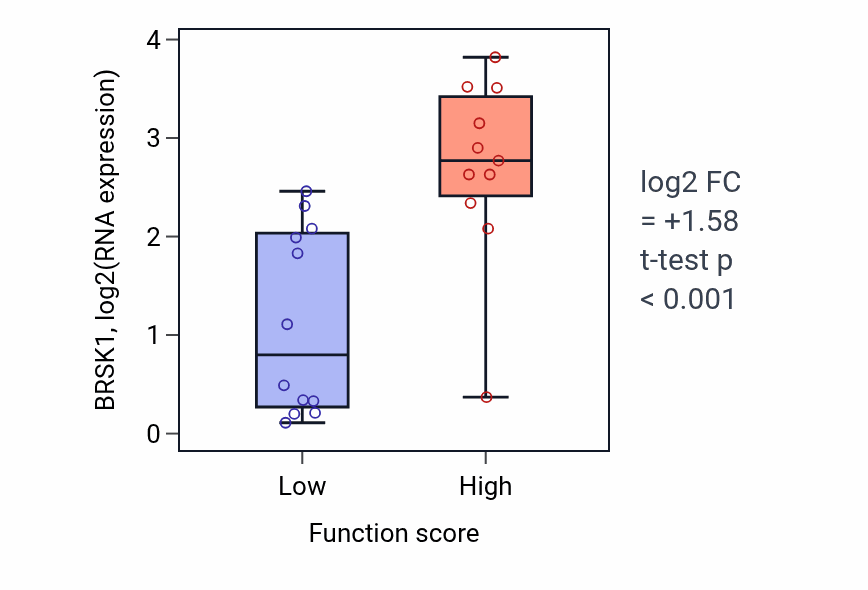 Box plot of BRSK1 in Regulation of syncytium formation by plasma membrane fusion-low vs -high samples in OESOPHAGUS.