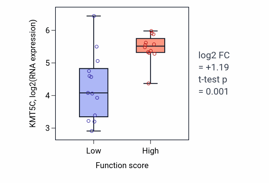 Box plot of KMT5C in Positive regulation of syncytium formation by plasma membrane fusion-low vs -high samples in LUNG_SCLC.