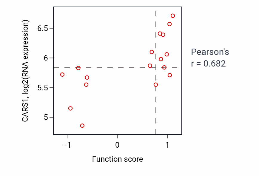 Per-sample scatter of Camera-type eye photoreceptor cell differentiation activity vs CARS1 in LUNG_SCLC.