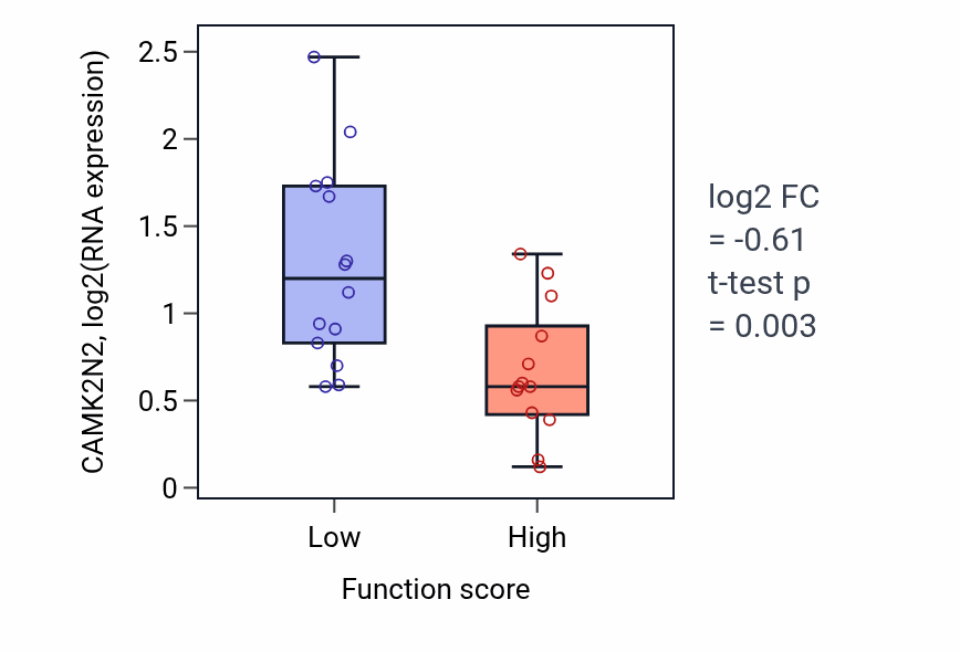 Box plot of CAMK2N2 in Positive regulation of Fc receptor mediated stimulatory signaling pathway-low vs -high samples in KIDNEY.
