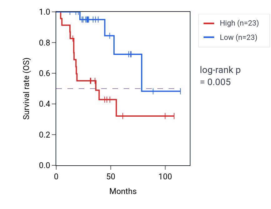 Kaplan&ndash;Meier survival curve for Cardiac muscle cell myoblast differentiation pathway activity in ACC: high vs low activity groups.
