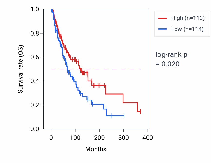 Kaplan&ndash;Meier survival curve for Lung vasculature development pathway activity in SKCM: high vs low activity groups.