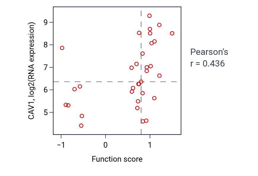 Per-sample scatter of Mammary gland morphogenesis activity vs CAV1 in SKIN.