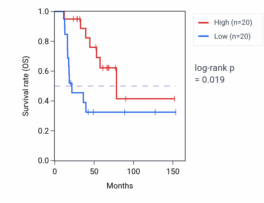 Kaplan&ndash;Meier survival curve for Positive regulation of cardiac muscle contraction pathway activity in ACC: high vs low activity groups.