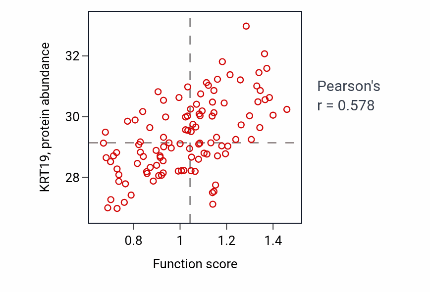 Per-sample scatter of Morphogenesis of an epithelial fold activity vs KRT19 in HNSC.