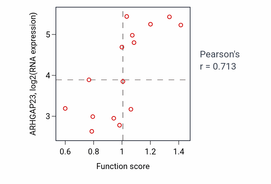 Per-sample scatter of Multicellular organismal-level iron ion homeostasis activity vs ARHGAP23 in BONE.