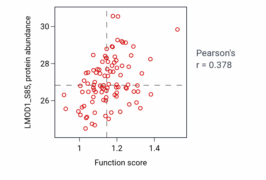 Per-sample scatter of Multicellular organismal-level iron ion homeostasis activity vs LMOD1_S85 in UCEC.