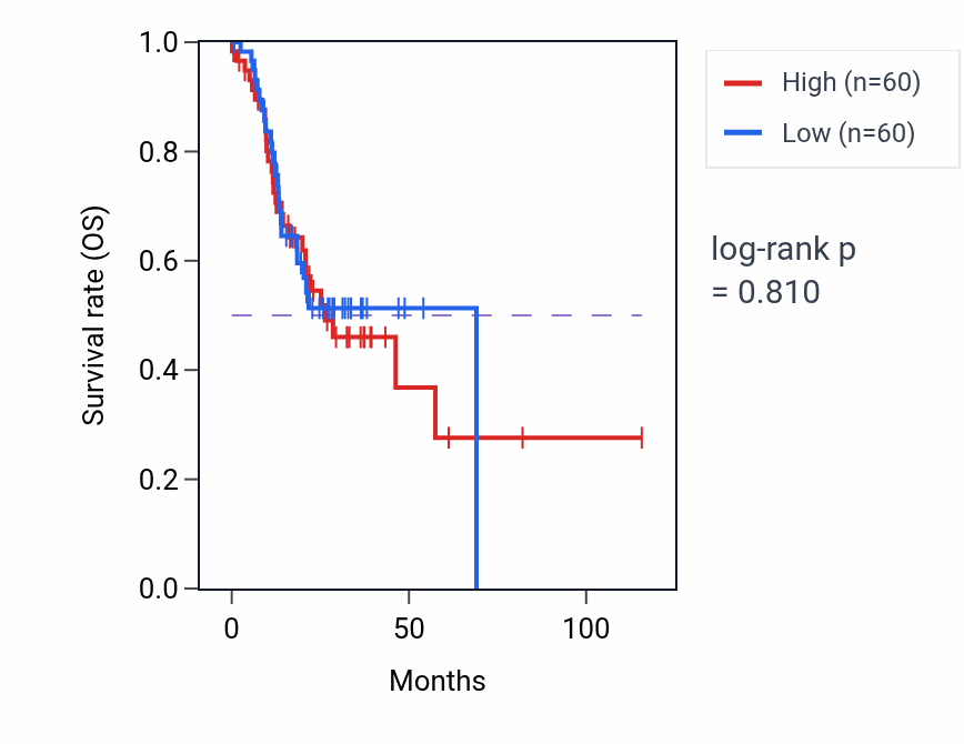Kaplan&ndash;Meier survival curve for Chondroblast differentiation pathway activity in STAD.