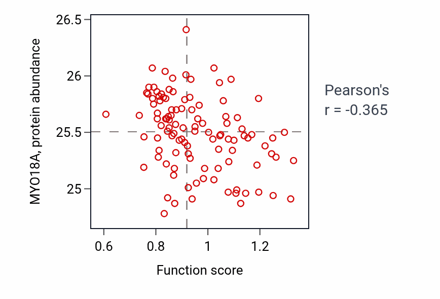 Per-sample scatter of Embryonic placenta morphogenesis activity vs MYO18A in HNSC.