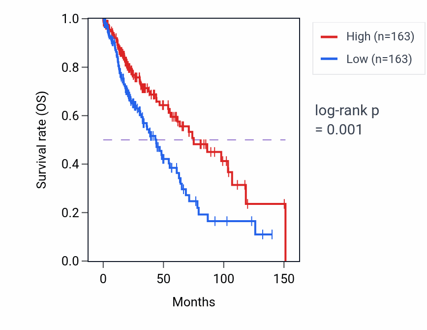 Kaplan&ndash;Meier survival curve for Chorio-allantoic fusion pathway activity in LUSC: high vs low activity groups.