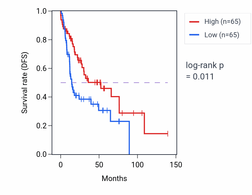 Kaplan&ndash;Meier survival curve for Arterial endothelial cell differentiation pathway activity in HNSC.