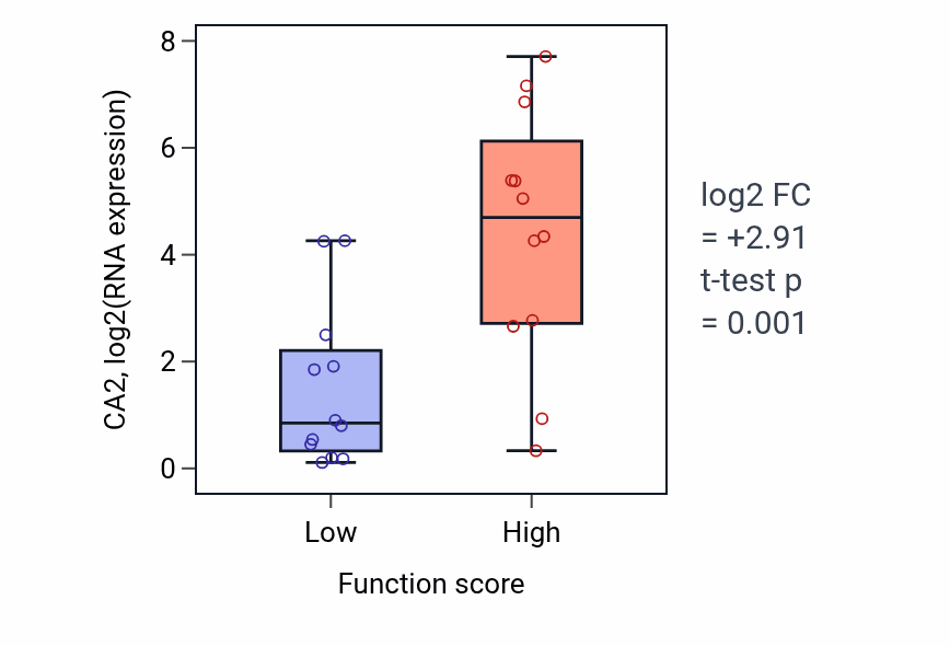 Box plot of CA2 in Establishment of blood-brain barrier-low vs -high samples in STOMACH.