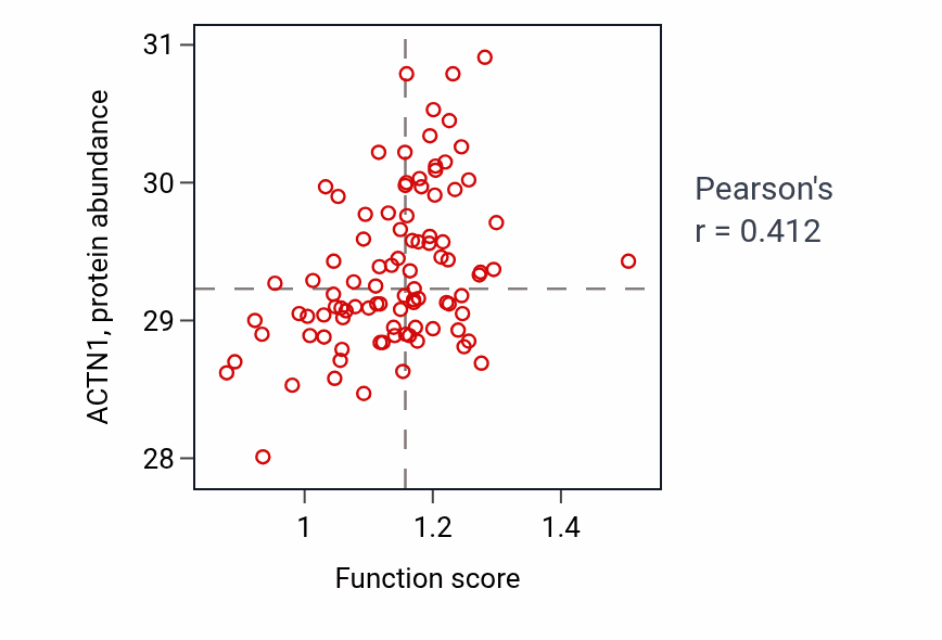 Per-sample scatter of Angiogenesis involved in coronary vascular morphogenesis activity vs ACTN1 in UCEC.
