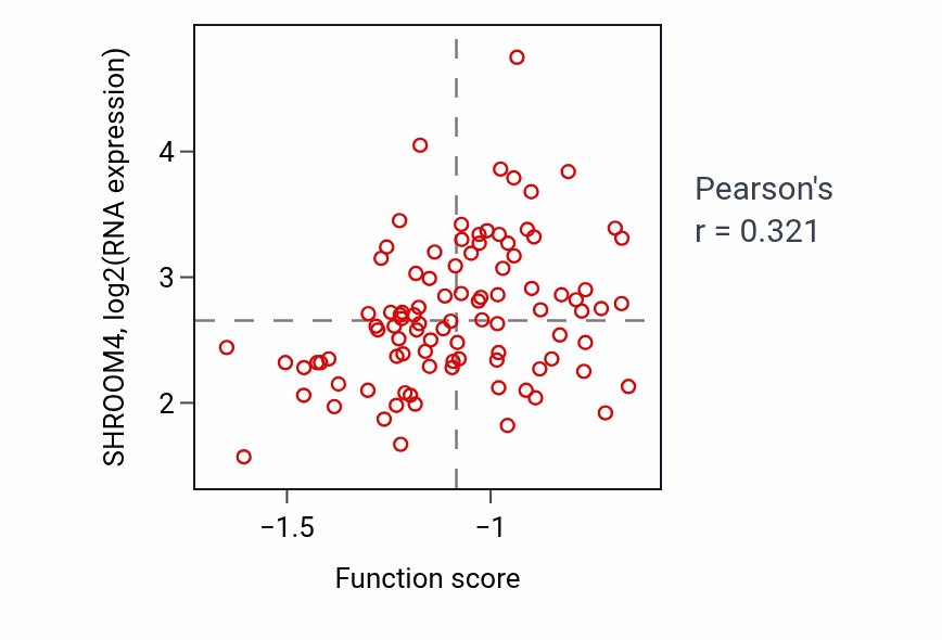Per-sample scatter of Vasculogenesis involved in coronary vascular morphogenesis activity vs SHROOM4 in HNSC.