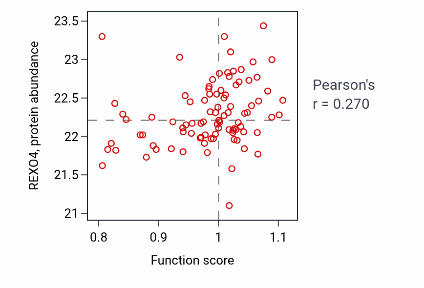 Per-sample scatter of Response to fungicide activity vs REXO4 in COAD.