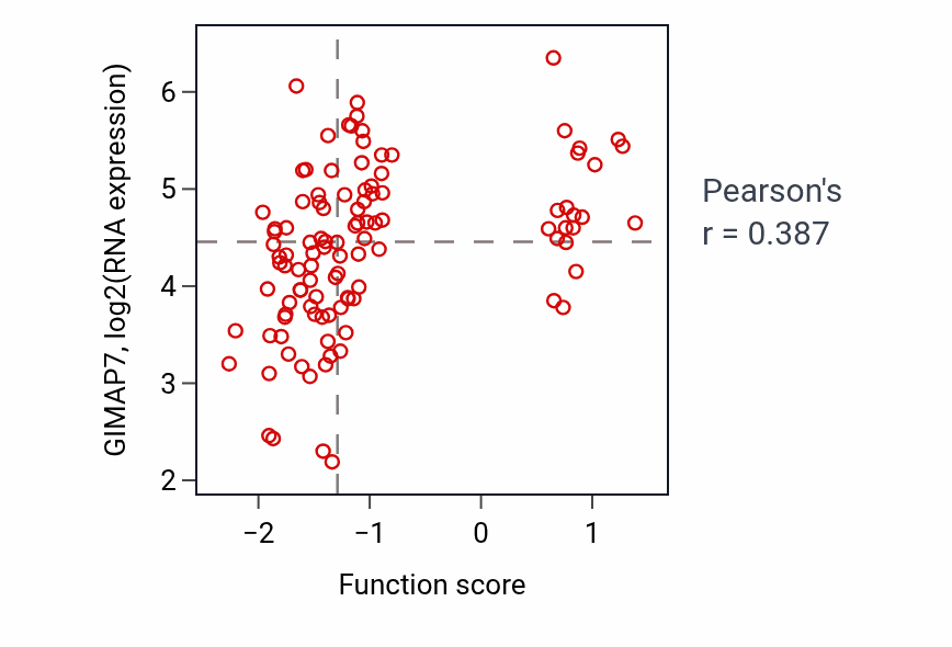 Per-sample scatter of Dendritic spine morphogenesis activity vs GIMAP7 in LSCC.