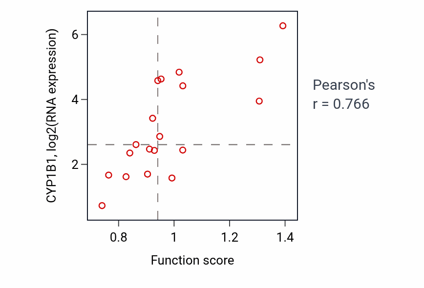 Per-sample scatter of Retinal blood vessel morphogenesis activity vs CYP1B1 in GBM.