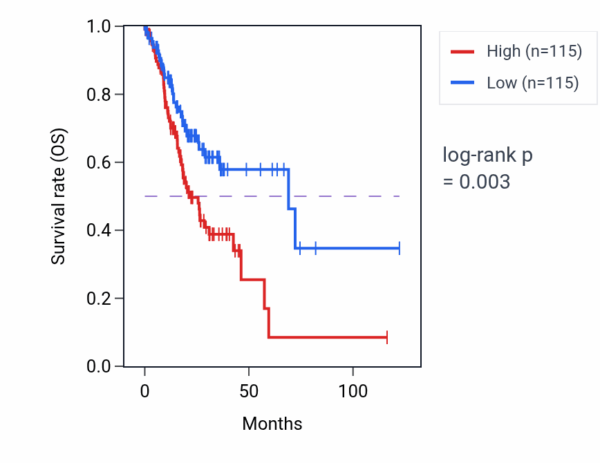 Kaplan&ndash;Meier survival curve for Renal system vasculature morphogenesis pathway activity in STAD: high vs low activity groups.