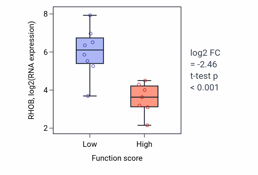 Box plot of RHOB in Neuron cellular homeostasis-low vs -high samples in BONE.