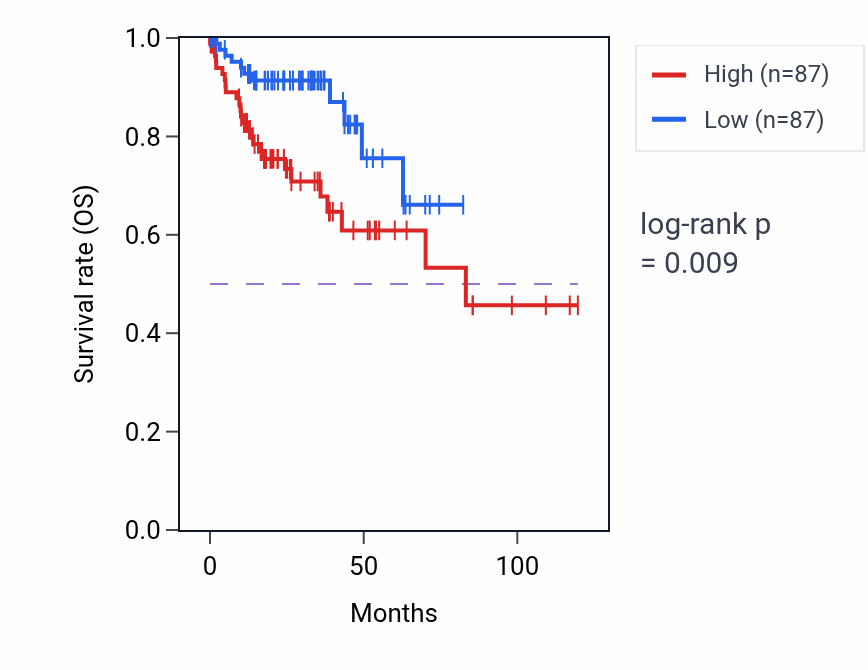 Kaplan&ndash;Meier survival curve for tRNA aminoacylation for mitochondrial protein translation pathway activity in COAD.