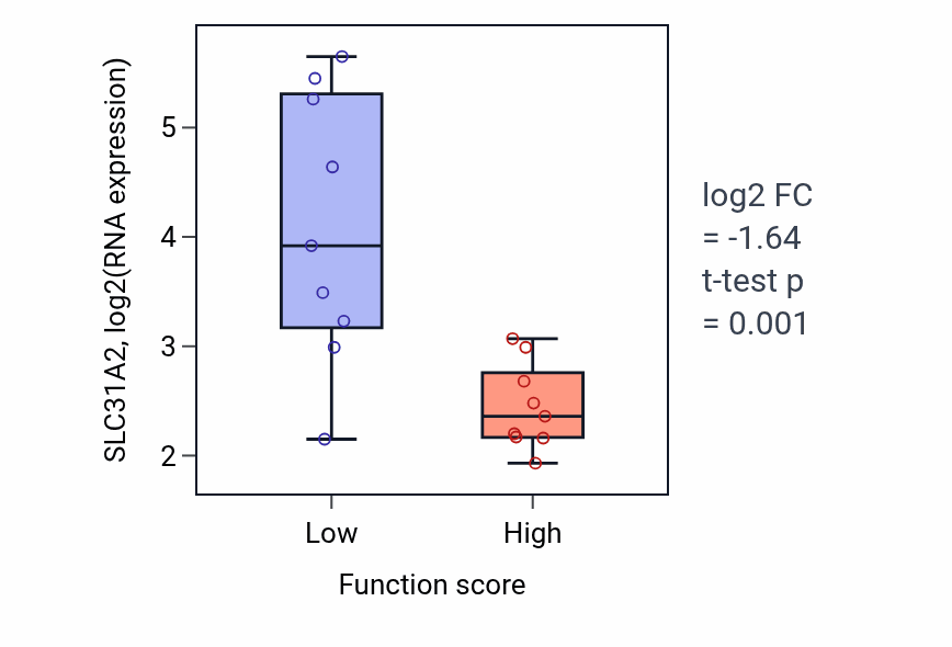 Box plot of SLC31A2 in Positive regulation of enamel mineralization-low vs -high samples in SOFT_TISSUE.