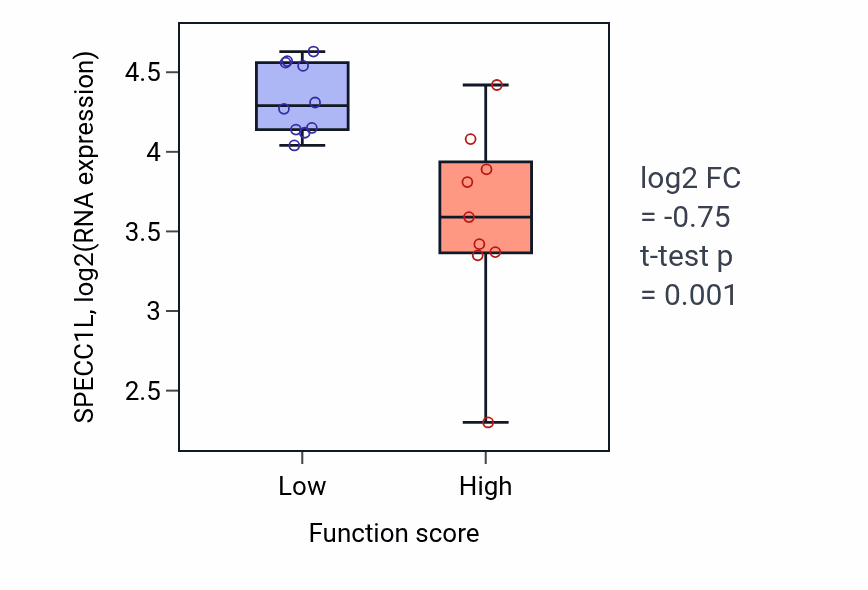 Box plot of SPECC1L in Sarcoplasmic reticulum calcium ion transport-low vs -high samples in LUNG_NSCLC_LUSC.
