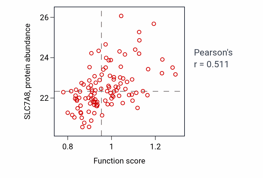 Per-sample scatter of Thyroid hormone transport activity vs SLC7A8 in LSCC.