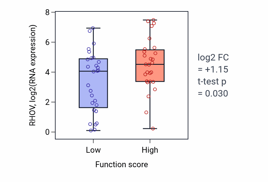 Box plot of RHOV in Positive regulation of uterine smooth muscle contraction-low vs -high samples in BREAST.