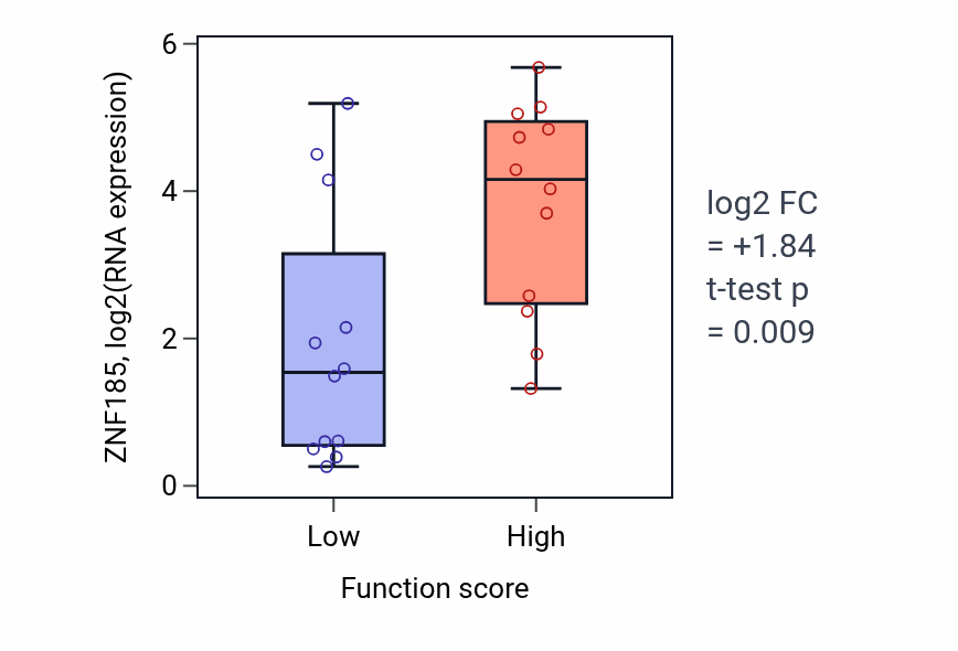 Box plot of ZNF185 in Regulation of microtubule cytoskeleton organization-low vs -high samples in STOMACH.