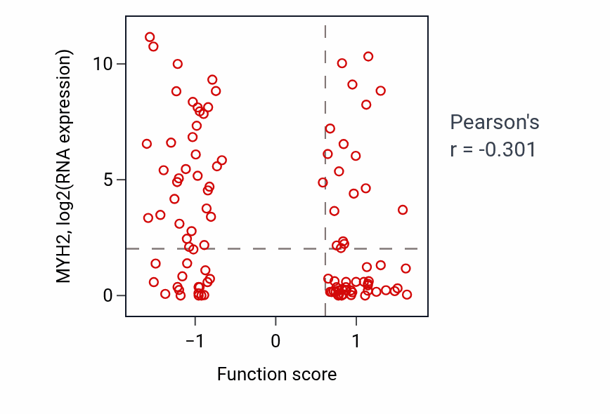 Per-sample scatter of Positive regulation of vitamin D receptor signaling pathway activity vs MYH2 in HNSC.