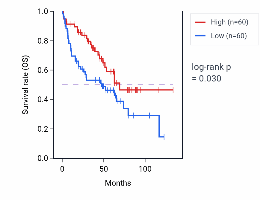 Kaplan&ndash;Meier survival curve for D-aspartate import across plasma membrane pathway activity in KIRC: high vs low activity groups.