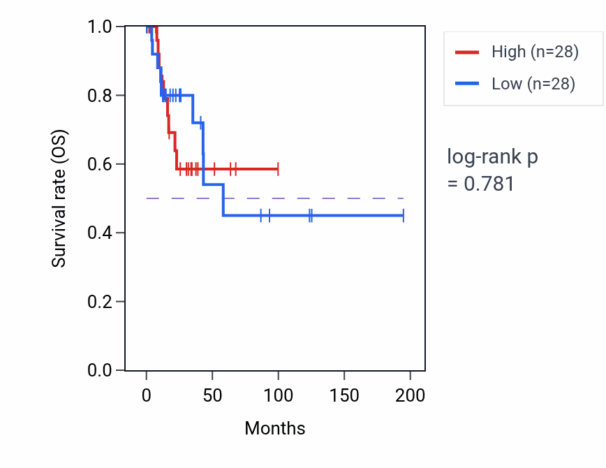 Kaplan&ndash;Meier survival curve for 3'-UTR-mediated mRNA stabilization pathway activity in KIRP: high vs low activity groups.