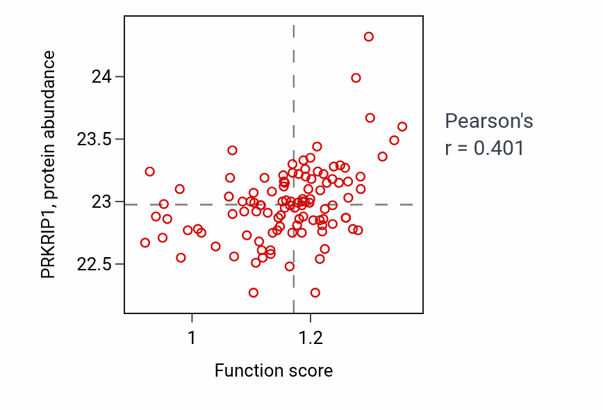 Per-sample scatter of Establishment of protein localization to chromatin activity vs PRKRIP1 in HNSC.