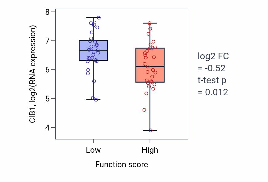 Box plot of CIB1 in Cellular response to iron ion-low vs -high samples in LUNG_NSCLC_LUAD.