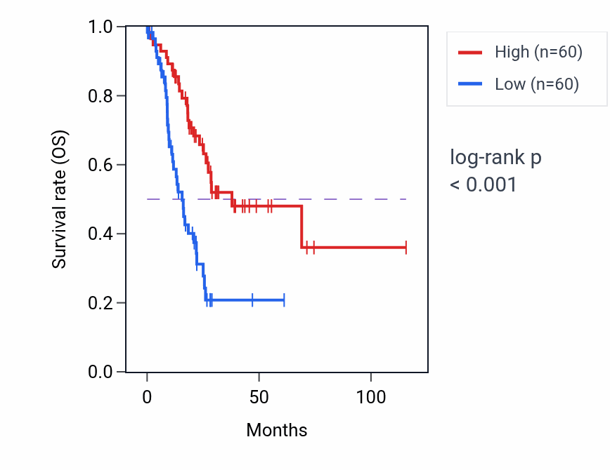 Kaplan&ndash;Meier survival curve for Cellular response to magnesium ion pathway activity in STAD: high vs low activity groups.