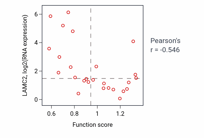 Per-sample scatter of Cellular response to vitamin activity vs LAMC2 in CNS.