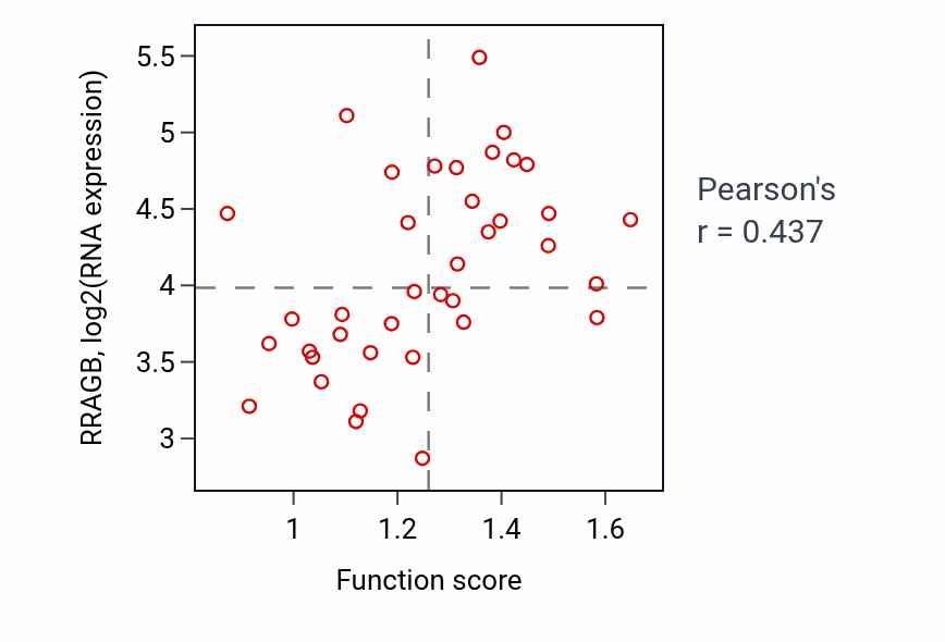 Per-sample scatter of Cellular response to type II interferon activity vs RRAGB in LUNG_SCLC.