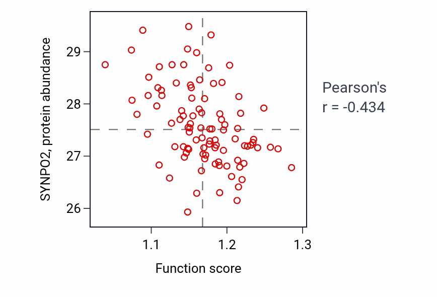 Per-sample scatter of Endoplasmic reticulum tubular network organization activity vs SYNPO2 in COAD.