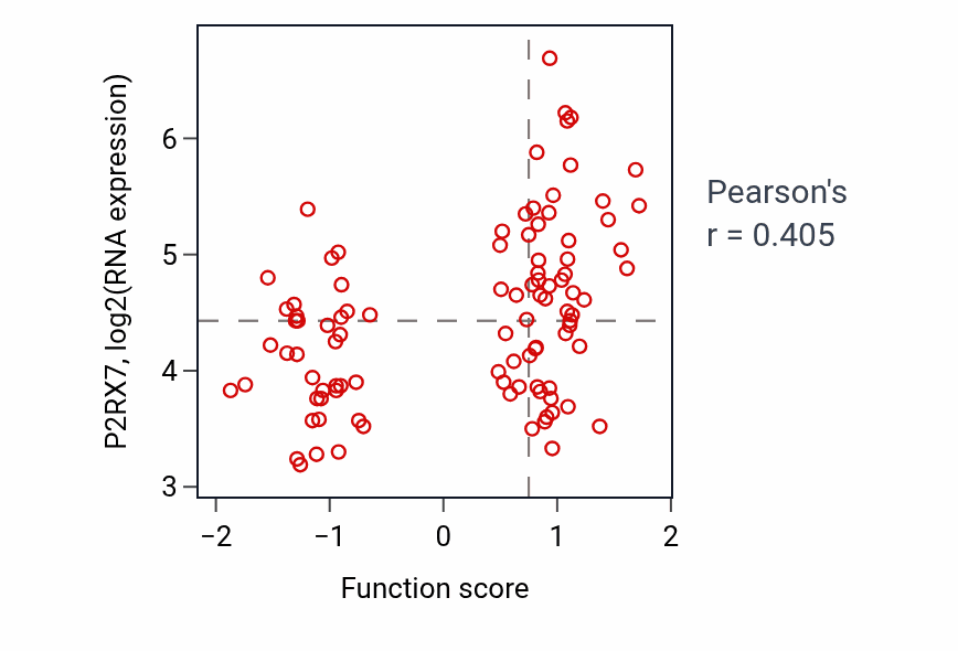 Per-sample scatter of Endoplasmic reticulum tubular network formation activity vs P2RX7 in GBM.