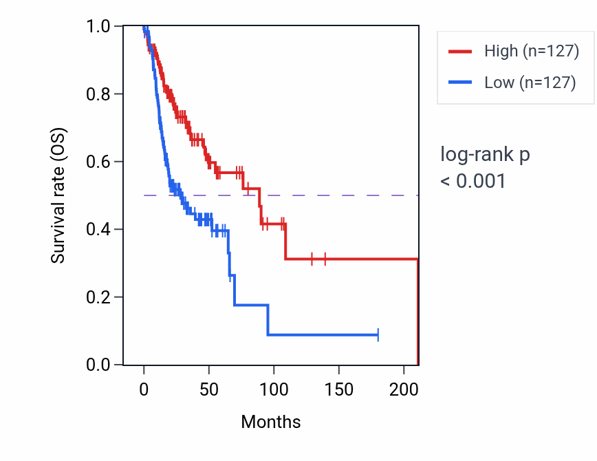 Kaplan&ndash;Meier survival curve for Protein transmembrane transport pathway activity in HNSC: high vs low activity groups.