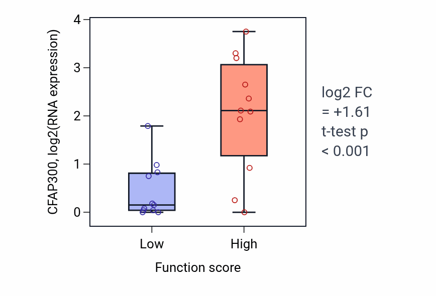 Box plot of CFAP300 in Glomerulus vasculature morphogenesis-low vs -high samples in SOFT_TISSUE.