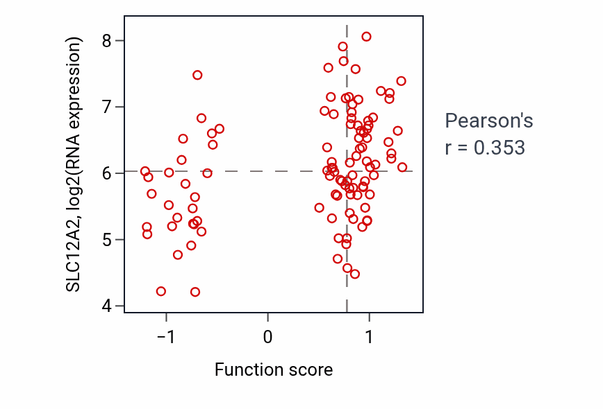 Per-sample scatter of Ammonium transmembrane transport activity vs SLC12A2 in PDAC.