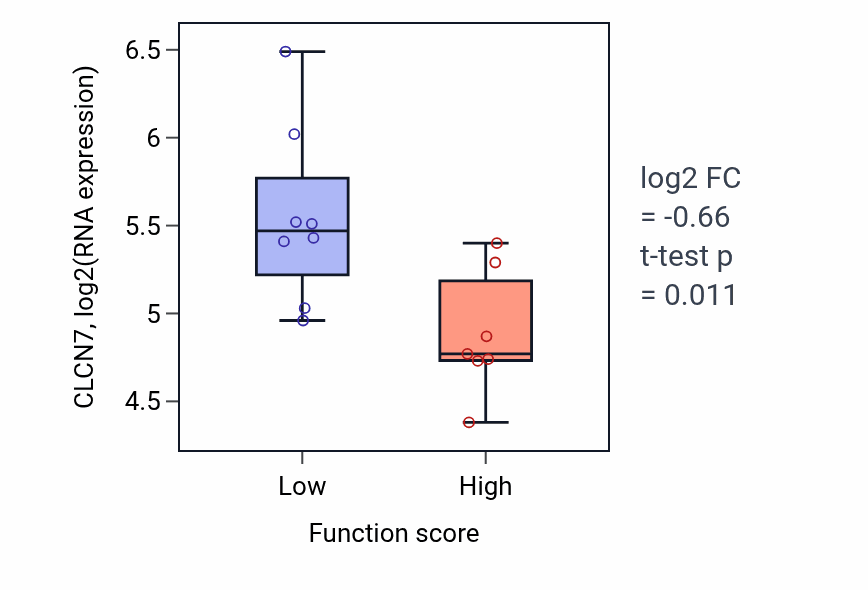 Box plot of CLCN7 in Neurotransmitter-gated ion channel clustering-low vs -high samples in BONE.