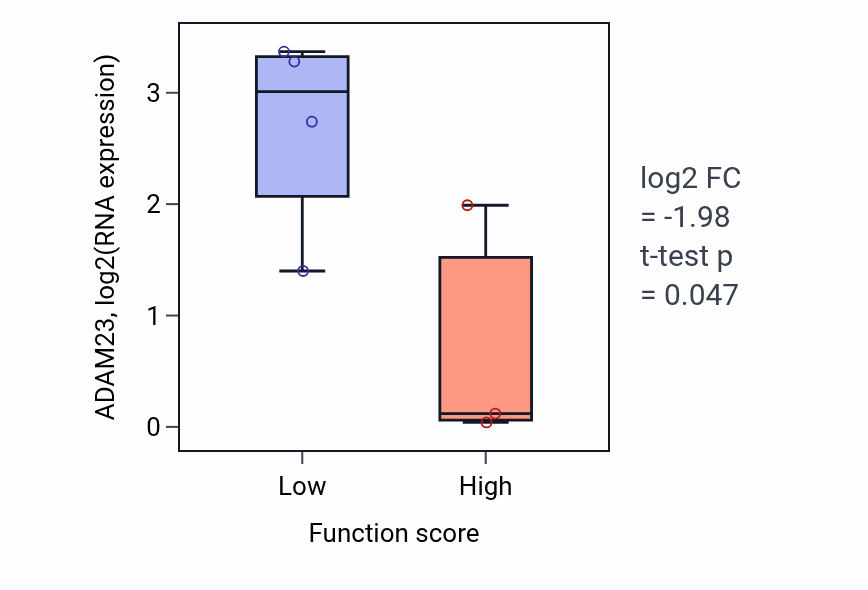 Box plot of ADAM23 in Lamellipodium morphogenesis-low vs -high samples in BONE.