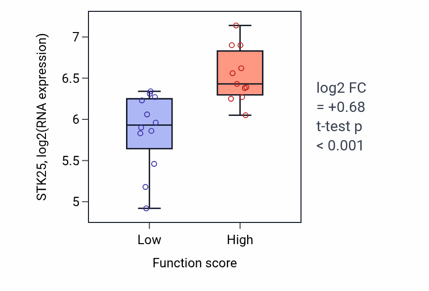 Box plot of STK25 in Ventricular cardiac muscle cell action potential-low vs -high samples in OESOPHAGUS.