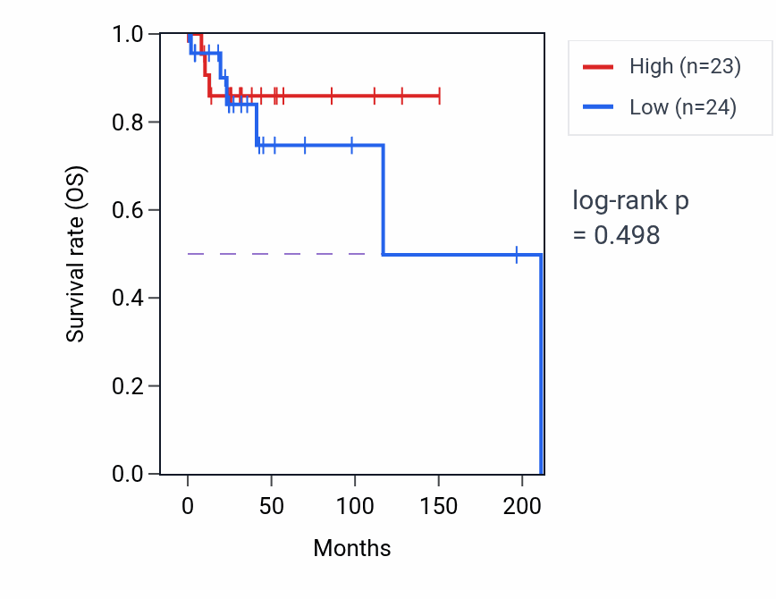 Kaplan&ndash;Meier survival curve for Membrane repolarization during cardiac muscle cell action potential pathway activity in DLBC: high vs low activity groups.