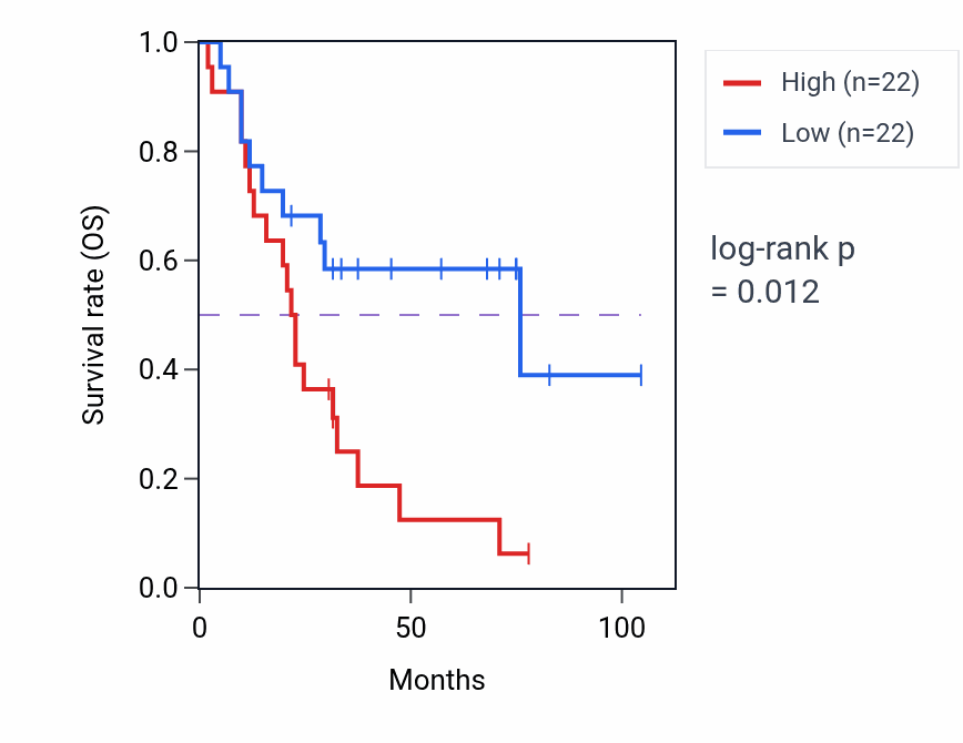 Kaplan&ndash;Meier survival curve for Membrane depolarization during SA node cell action potential pathway activity in SCLC.