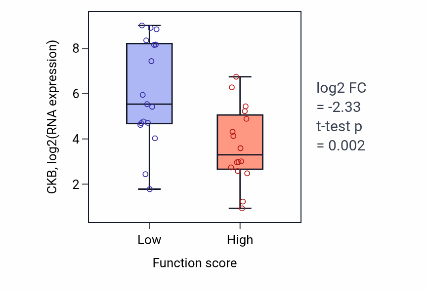 Box plot of CKB in Endothelin receptor signaling pathway-low vs -high samples in BLOOD_Leukemia.