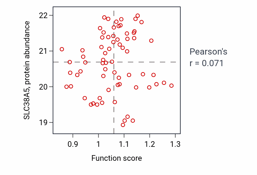 Per-sample scatter of L-histidine transmembrane transport activity vs SLC38A5 in HNSC.